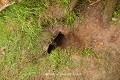 Un linteau de pierre marque l’accès à la cavité, il s’agit d’un souterrain construit ; souterrain de Carhoovauler (comté de Cork, Irlande). Carhoovauler 
 Irlande 
 Moyen Age 
 enceinte circulaire 
 fortification 
 ringfort 
 souterrain 
 souterrain aménagé 
 souterrain-refuge 