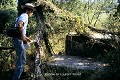 Toujours en Bosnie-Herzégovine, nous avons également visité la nécropole de Boljuni, et un jeune homme nous  a montré d’autres stèles dissimulées par la végétation ; (Bosnie-Herzégovine), août 1988. Boljuni 
 Bosnie-Herzégovine 
 bogomile 
 coulisses 
 nécropole 