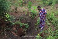 Non loin des maisons du village, au milieu de cultures sur brûlis, s’ouvrent plus d’une dizaine de puits aux orifices en partie masqués par la végétation (Zogbodomey, environs d’Abomey, Bénin). Abomey 
 Afrique de l'Ouest 
 Bénin 
 Dahomey 
 Danhomé 
 cache 
 esclavagisme 
 grotte 
 guerre 
 souterrain 
 souterrain-refuge 