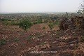 Depuis le coteau surplombant le village, apparait une large vallée occupée par une savane aux arbres clairsemés (Tanéka-Koko, Donga, Bénin). Afrique de l'Ouest 
 Bénin 
 Donga 
 Tanéka Koko 
 savane 