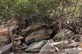 La grotte sacrée s’ouvre au pied de la falaise, au milieu de ces gros blocs rocheux tombés de la paroi (Tanéka-Koko, Donga, Bénin). Afrique de l'Ouest 
 Bénin 
 Dahomey 
 Donga 
 Tanéka Koko 
 grotte 
 rite 
 rituel 
 sacré 
 souterrain 