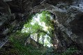 Aux portes du monde souterrain, fougères et lierre savent profiter du peu de lumière et de l’humidité (France). Calcaire 
 carrière souterraine 
 cave 
 fougère 
 lierre 
 troglodyte 
 tuffeau 
 végétation 