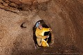 Après le troisième et dernier confinement, nous avons pu reprendre les déplacements et les explorations. Nous en avons profité pour aller étudier et lever le plan d’un souterrain creusé dans l’arène granitique, récemment découvert sous les ruines d’un hameau ; Corrèze (France), juin 2021. [1430N090 © Jérôme et Laurent Triolet/www.mondesouterrain.fr] Corrèze 
 Jérôme et Laurent Triolet 
 souterrain 