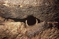 Tuyau d'aération en céramique installé dans un ancien puits d'extraction (Poitou, France) France 
 centre-ouest 
 souterrain aménagé 
 souterrain-refuge 