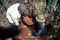 Pour restaurer les tunnels avant de les ouvrir à la visite, ces ouvriers travaillent de la même manière que  dans les années 1960 ; ils creusent avec une pioche et évacuent les déblais à l'aide de paniers de bambou (Tunnels de Long Phuoc, au sud de Saigon). Long Phuoc 
 Vietnam 
 souterrain 
 tunnel du guerre 